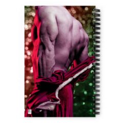 Secret Santa – It’s the Holigay Season Spiral Notebook