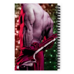 Secret Santa – It’s the Holigay Season Spiral Notebook